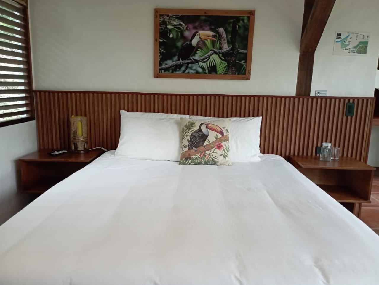 Cielo Verde Lodge Mashpi Eksteriør billede