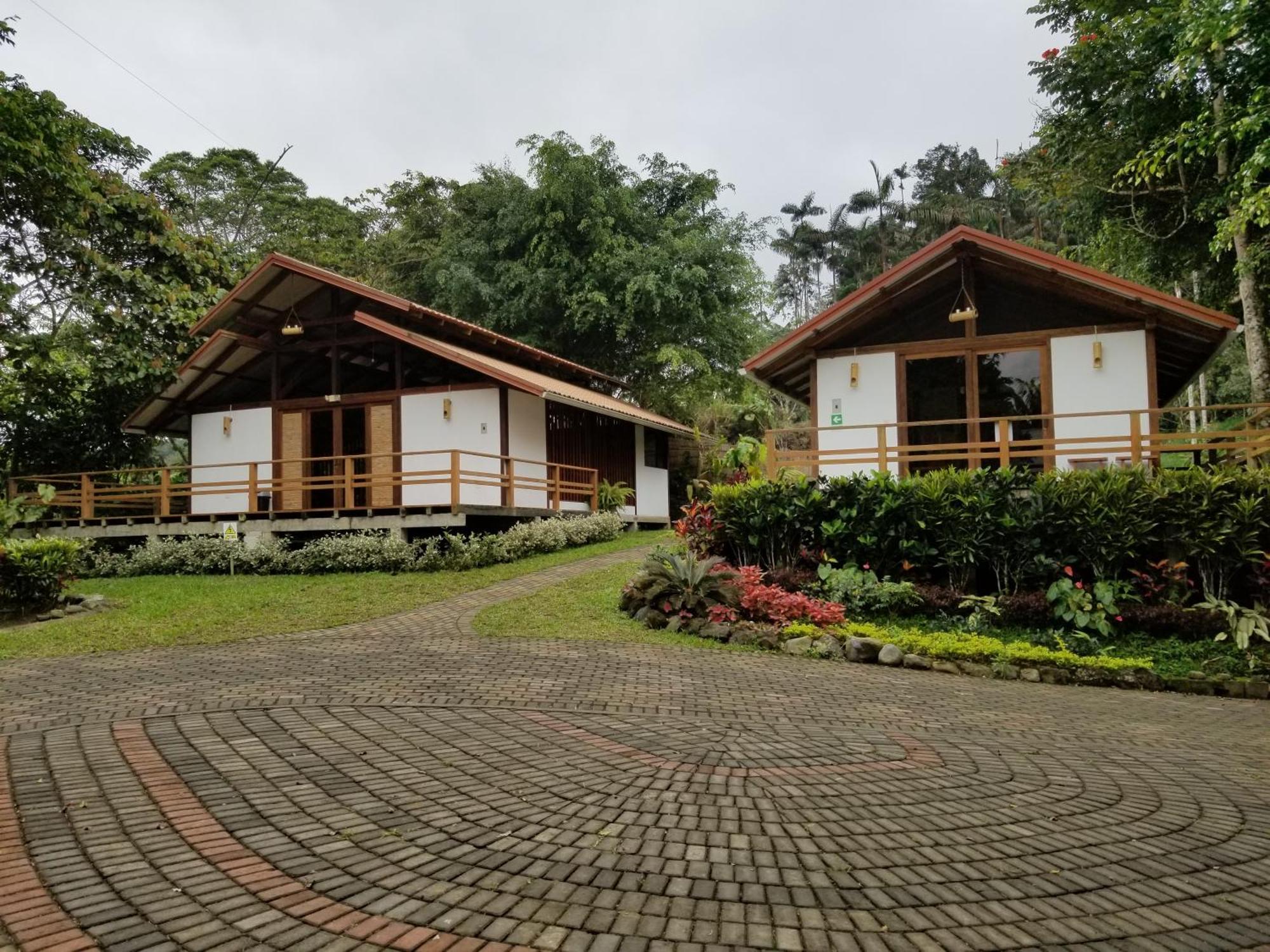 Cielo Verde Lodge Mashpi Eksteriør billede